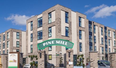Pine Mill