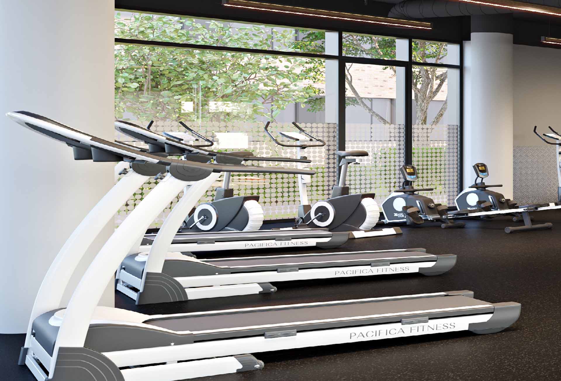 Gym.jpg