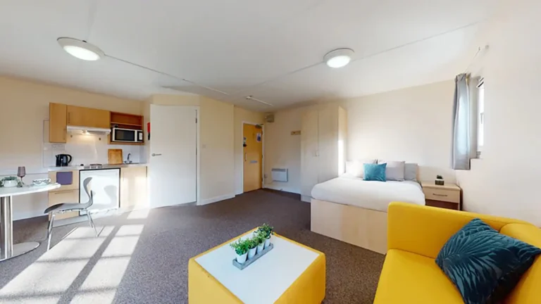A large bedroom with kitchen facilities and a sofa